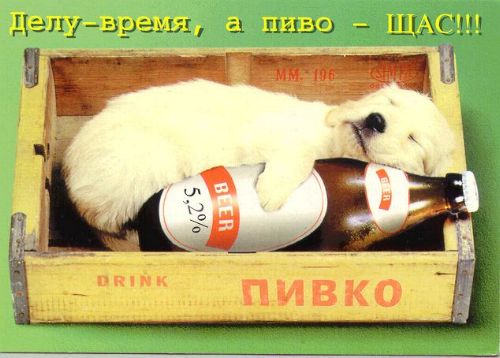 ����-������ �� www.RzhuNeMogu.ru � 31609