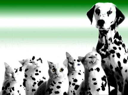 ����-������ �� www.RzhuNeMogu.ru � 31634