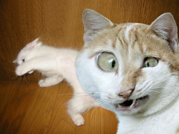 ����-������ �� www.RzhuNeMogu.ru � 31666