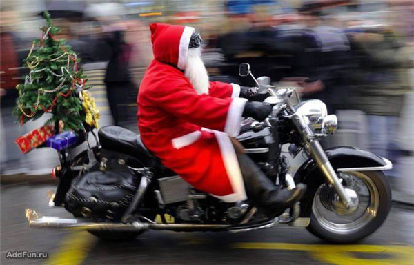 ����-������ �� www.RzhuNeMogu.ru � 31746