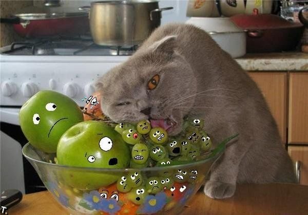 ����-������ �� www.RzhuNeMogu.ru � 34641