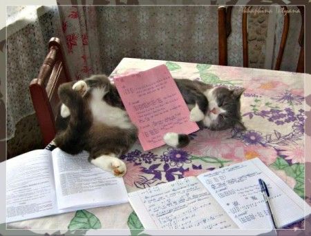 ����-������ �� www.RzhuNeMogu.ru � 46747