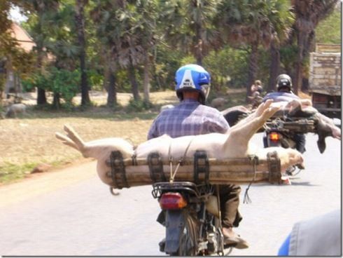 ����-������ �� www.RzhuNeMogu.ru � 46834