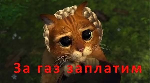 ����-������ �� www.RzhuNeMogu.ru � 46856