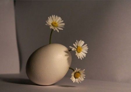 ����-������ �� www.RzhuNeMogu.ru � 46876