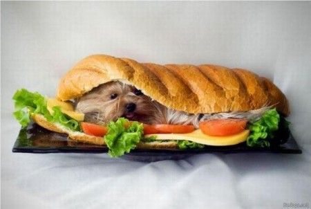 ����-������ �� www.RzhuNeMogu.ru � 46877