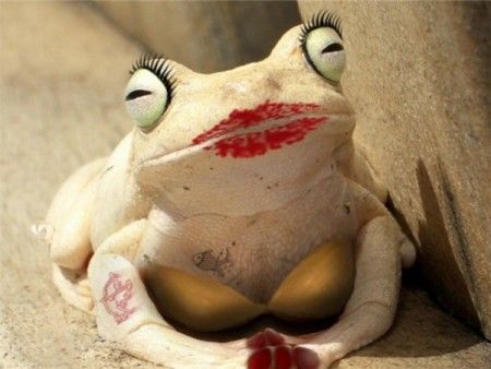 ����-������ �� www.RzhuNeMogu.ru � 46878