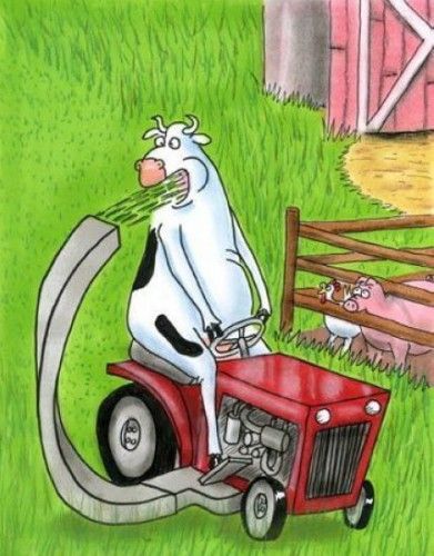 ����-������ �� www.RzhuNeMogu.ru � 46879