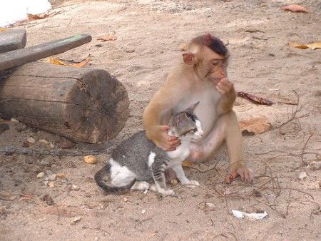 ����-������ �� www.RzhuNeMogu.ru � 46885