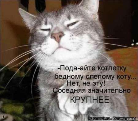 ����-������ �� www.RzhuNeMogu.ru � 46891