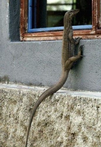 ����-������ �� www.RzhuNeMogu.ru � 46892