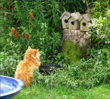 ����-������ �� www.RzhuNeMogu.ru � 46893