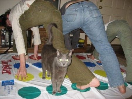 ����-������ �� www.RzhuNeMogu.ru � 46897