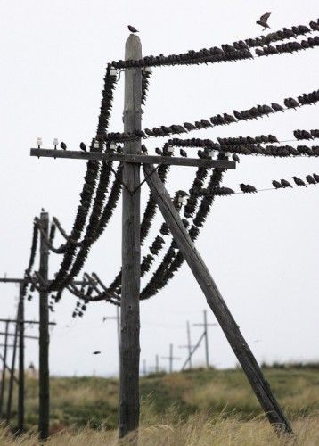 ����-������ �� www.RzhuNeMogu.ru � 46898