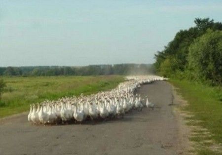 ����-������ �� www.RzhuNeMogu.ru � 46900