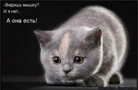 ����-������ �� www.RzhuNeMogu.ru � 47020