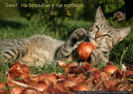 ����-������ �� www.RzhuNeMogu.ru � 47022