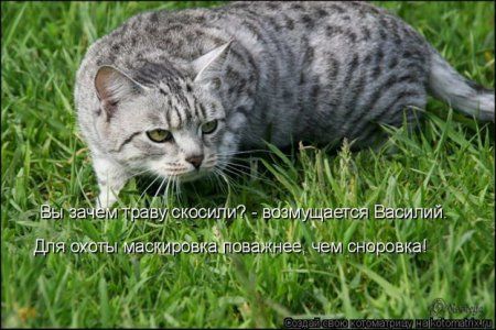 ����-������ �� www.RzhuNeMogu.ru � 47024