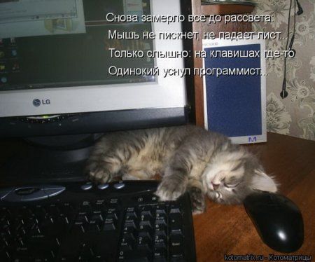 ����-������ �� www.RzhuNeMogu.ru � 47026