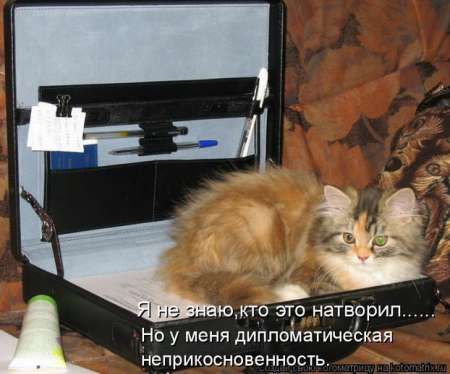 ����-������ �� www.RzhuNeMogu.ru � 47028