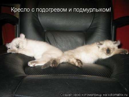 ����-������ �� www.RzhuNeMogu.ru � 47029