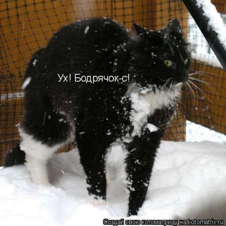 ����-������ �� www.RzhuNeMogu.ru � 47030