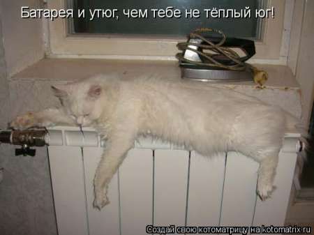 ����-������ �� www.RzhuNeMogu.ru � 47031