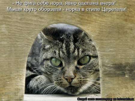 ����-������ �� www.RzhuNeMogu.ru � 47033