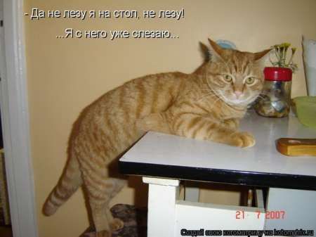 ����-������ �� www.RzhuNeMogu.ru � 47034