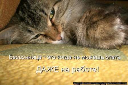 ����-������ �� www.RzhuNeMogu.ru � 47035