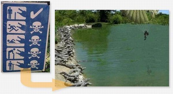 ����-������ �� www.RzhuNeMogu.ru � 47041