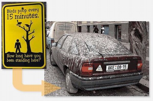 ����-������ �� www.RzhuNeMogu.ru � 47042