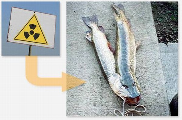 ����-������ �� www.RzhuNeMogu.ru � 47043