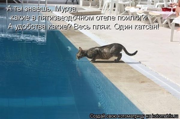 ����-������ �� www.RzhuNeMogu.ru � 47067