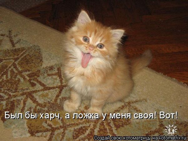 ����-������ �� www.RzhuNeMogu.ru � 47068