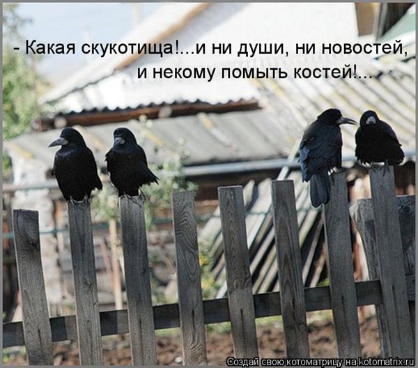 ����-������ �� www.RzhuNeMogu.ru � 47070