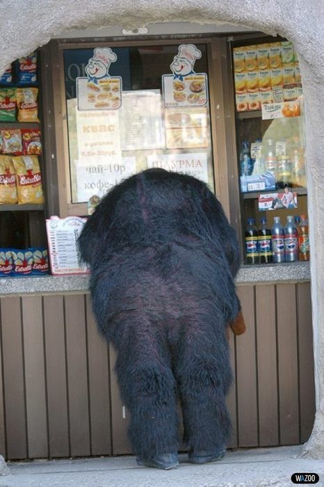 ����-������ �� www.RzhuNeMogu.ru � 47161