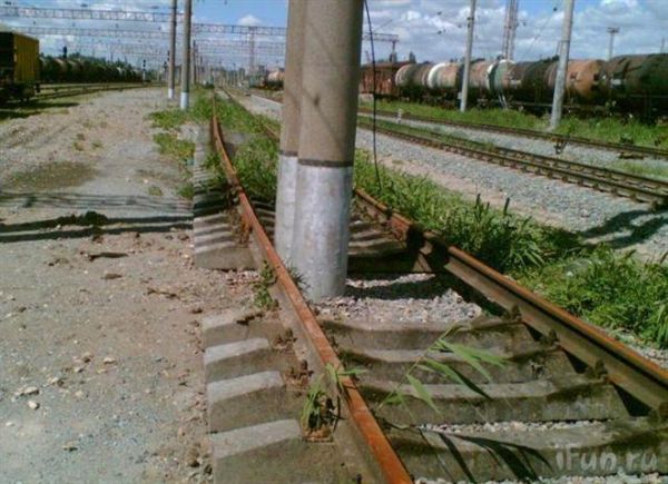 ����-������ �� www.RzhuNeMogu.ru � 47166