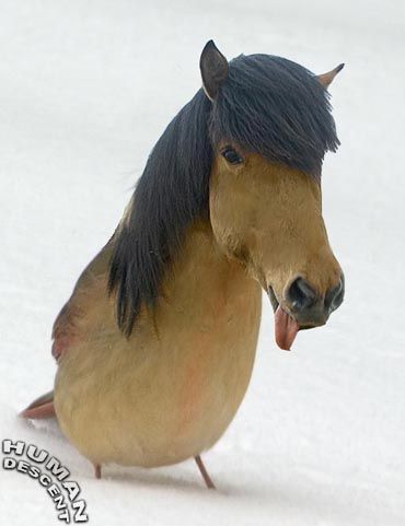 ����-������ �� www.RzhuNeMogu.ru � 47182