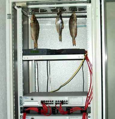 ����-������ �� www.RzhuNeMogu.ru � 47189