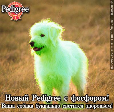 ����-������ �� www.RzhuNeMogu.ru � 47195