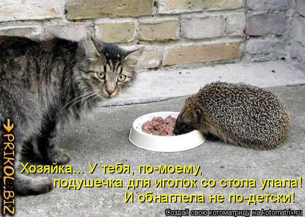 ����-������ �� www.RzhuNeMogu.ru � 47196