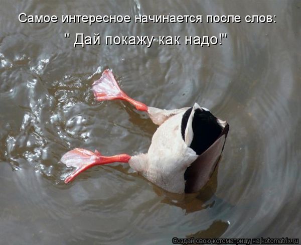 ����-������ �� www.RzhuNeMogu.ru � 47198