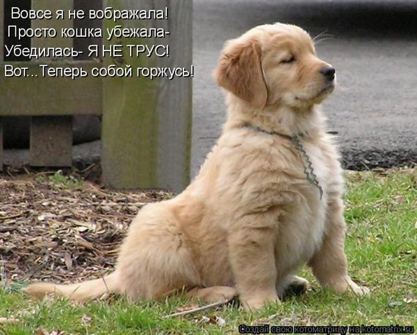 ����-������ �� www.RzhuNeMogu.ru � 47200