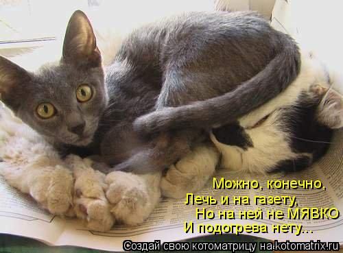 ����-������ �� www.RzhuNeMogu.ru � 47201