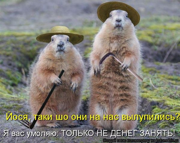 ����-������ �� www.RzhuNeMogu.ru � 47202