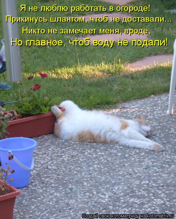 ����-������ �� www.RzhuNeMogu.ru � 47203