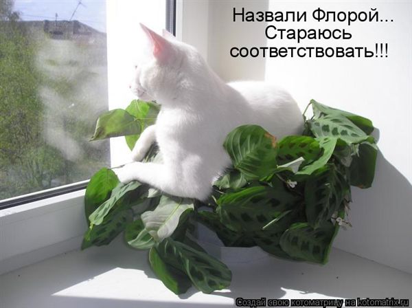 ����-������ �� www.RzhuNeMogu.ru � 47205