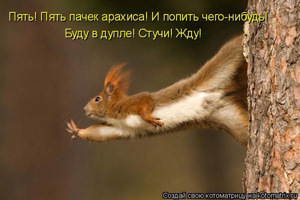 ����-������ �� www.RzhuNeMogu.ru � 47206