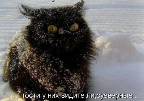 ����-������ �� www.RzhuNeMogu.ru � 47208